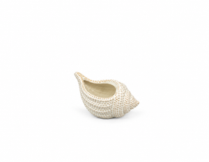 CARACOL