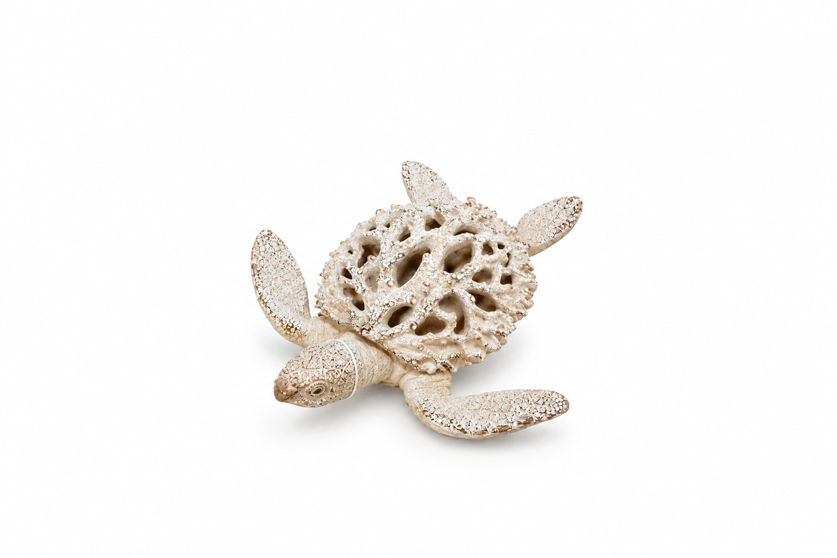 TORTUGA VERTICE
