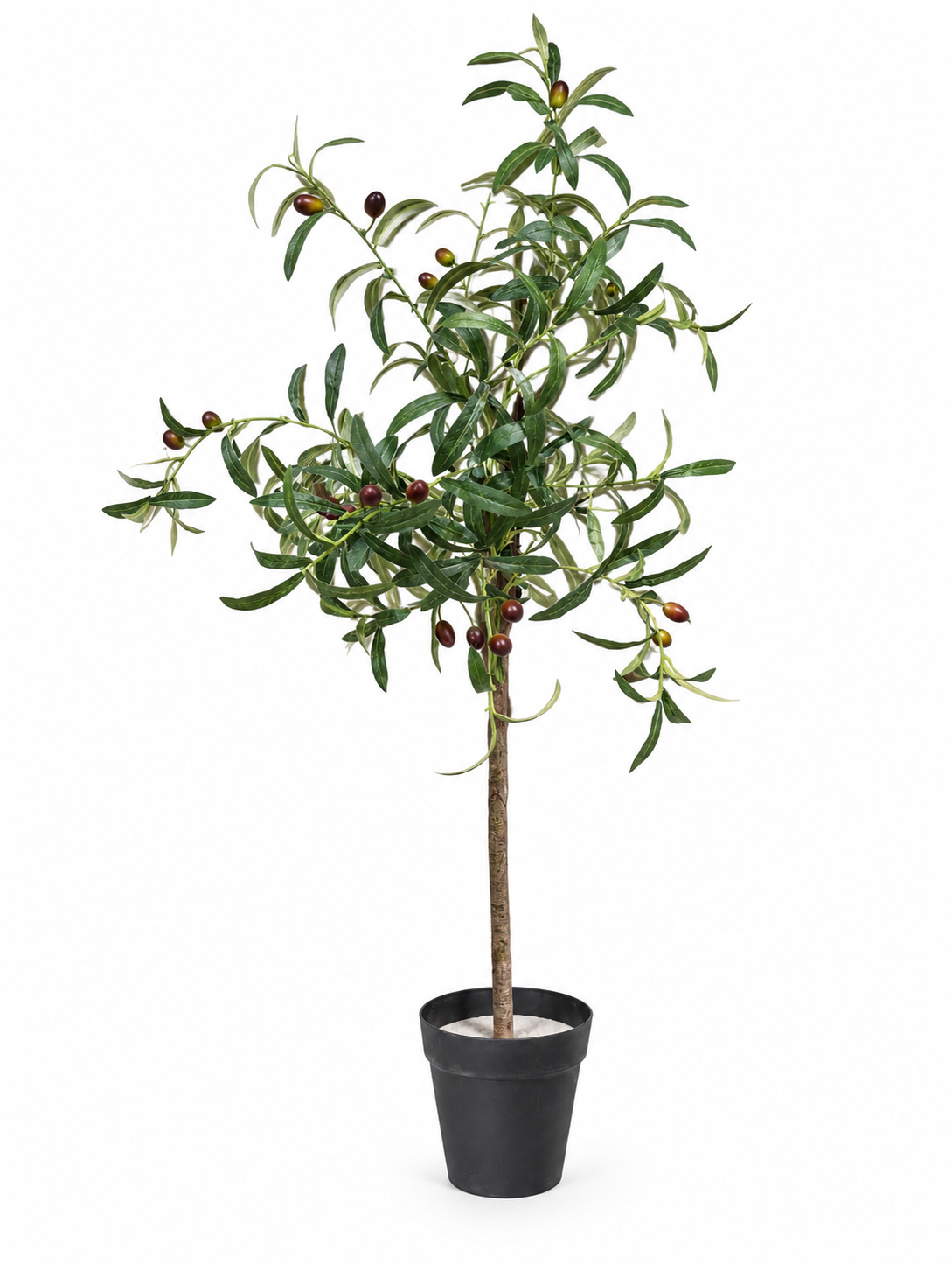 ARBOL VERTICE