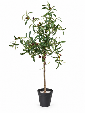 ARBOL VERTICE