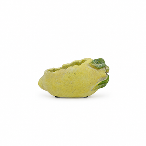 BOWL LIMON GRANDE