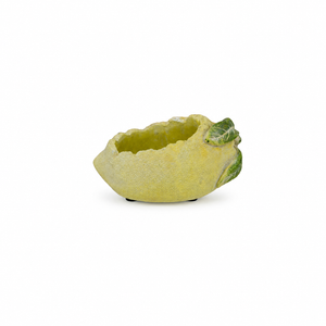 BOWL LIMON PEQUEÑO