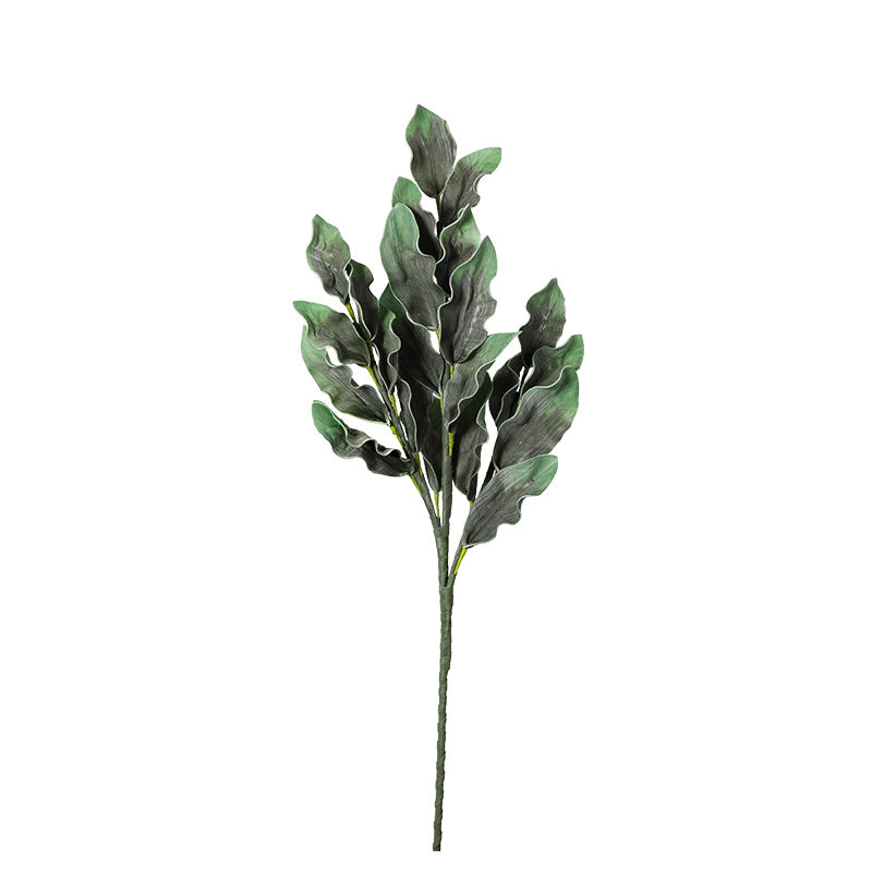 FOLLAJE HOJA TROPICAL