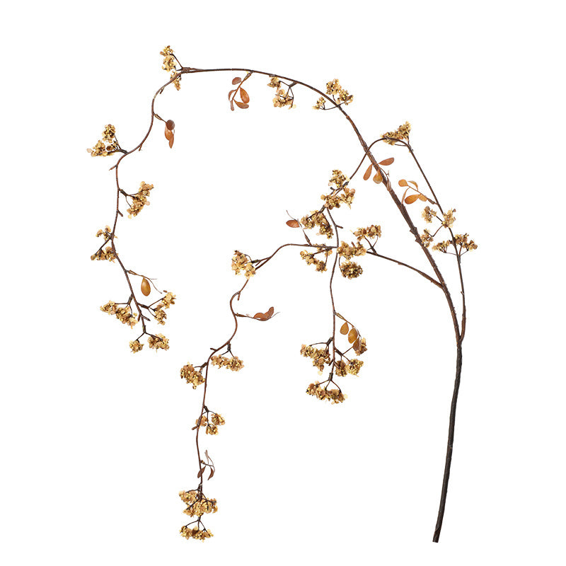 FOLLAJE GOLDEN BERRY
