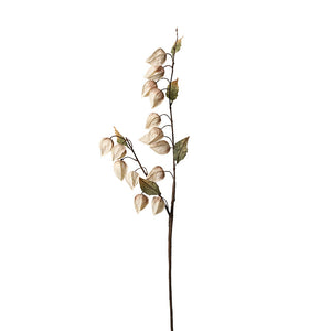 FOLLAJE CAPULLOS DE MAGNOLIA